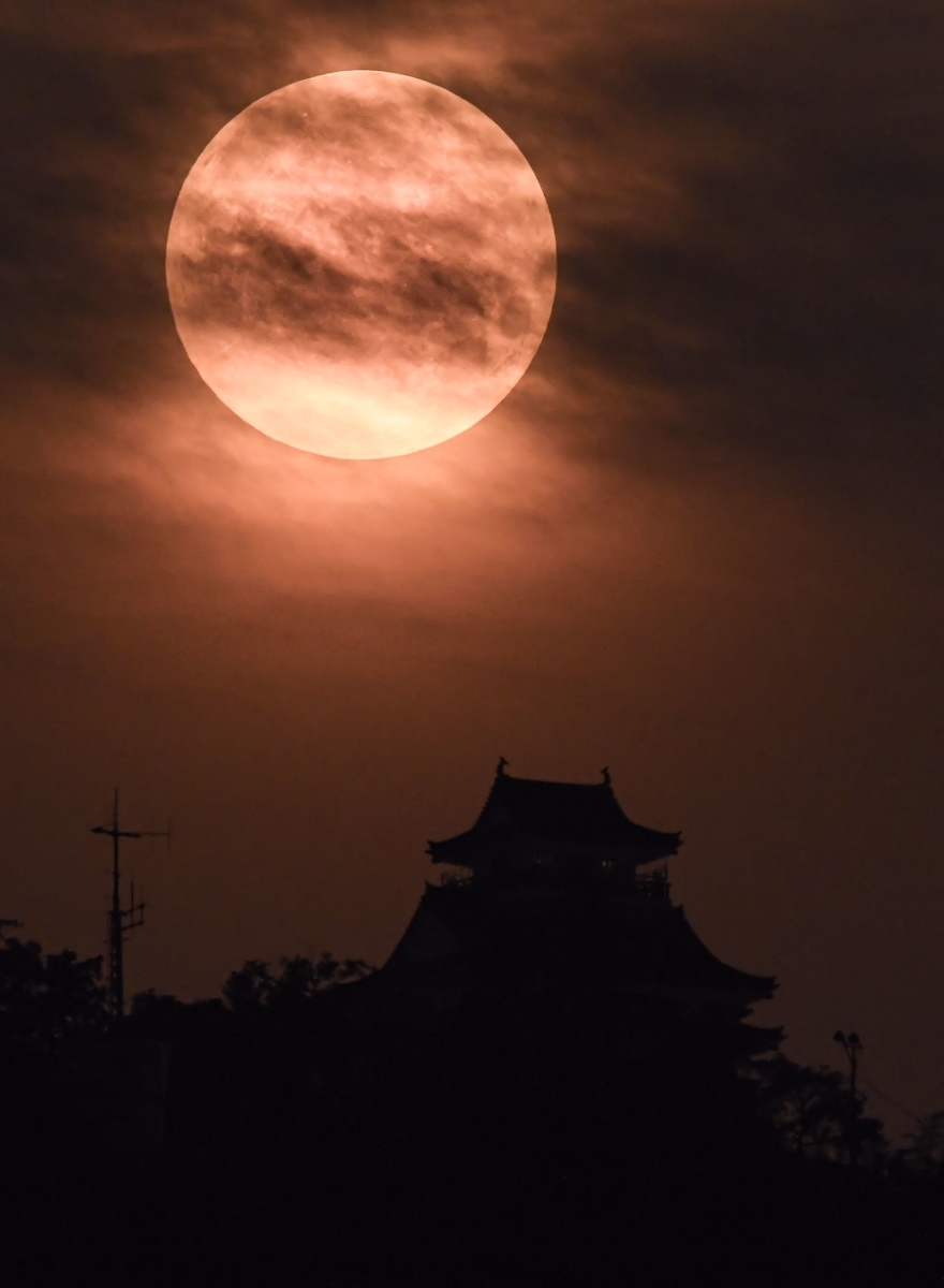 f:id:yamasemi5150:20200728234721j:plain f:id:yamasemi5150:20200728234721j:plain
