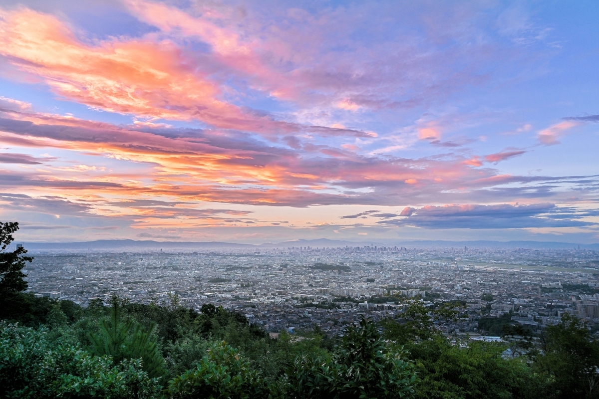 f:id:yamasemi5150:20200908220334j:plain