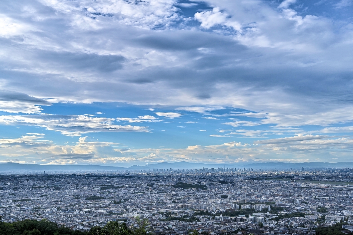 f:id:yamasemi5150:20200908220445j:plain