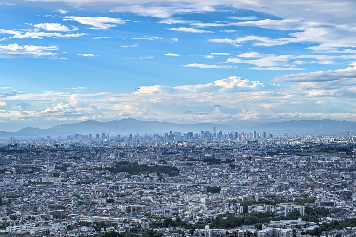 f:id:yamasemi5150:20200908220603j:plain