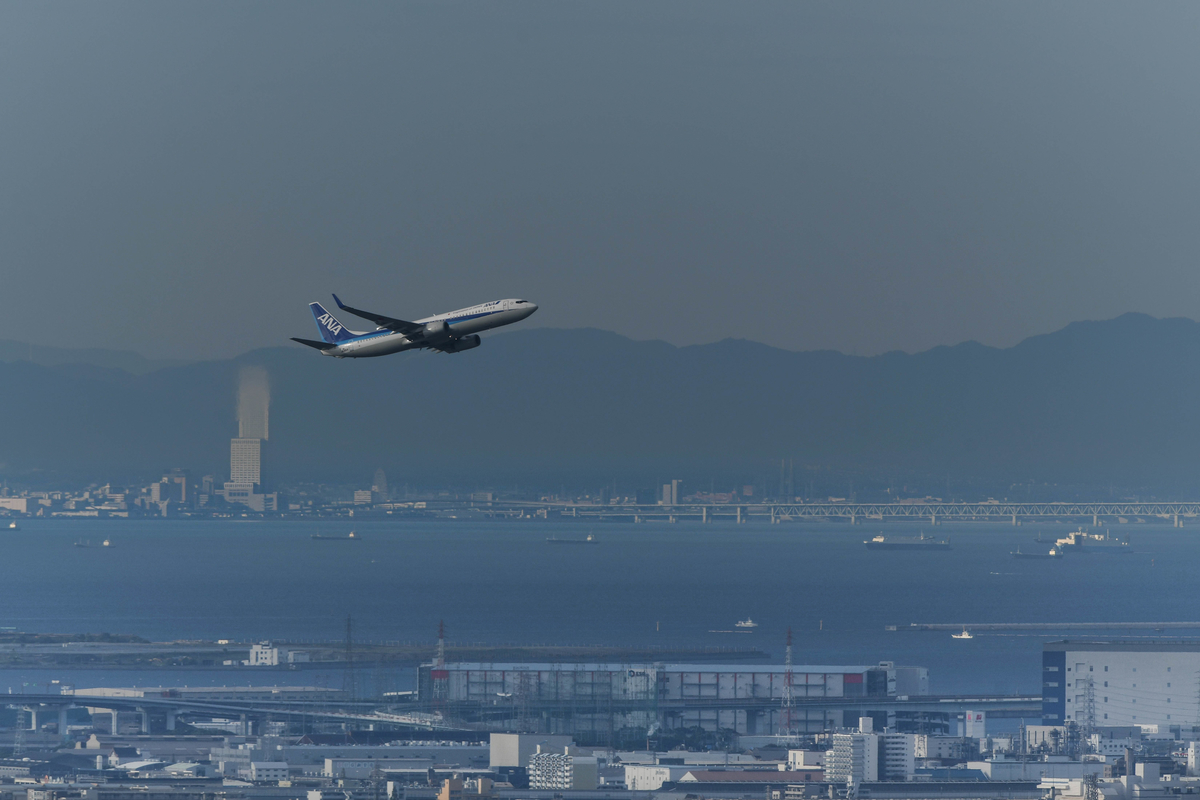 f:id:yamasemi5150:20200908221018j:plain