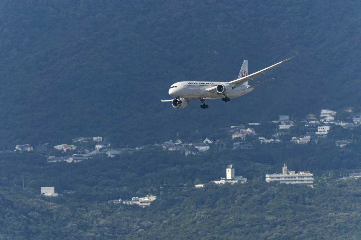 f:id:yamasemi5150:20200908221141j:plain