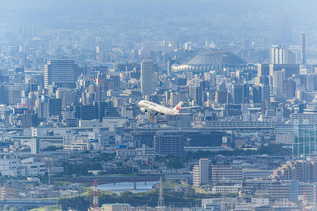 f:id:yamasemi5150:20200908221437j:plain