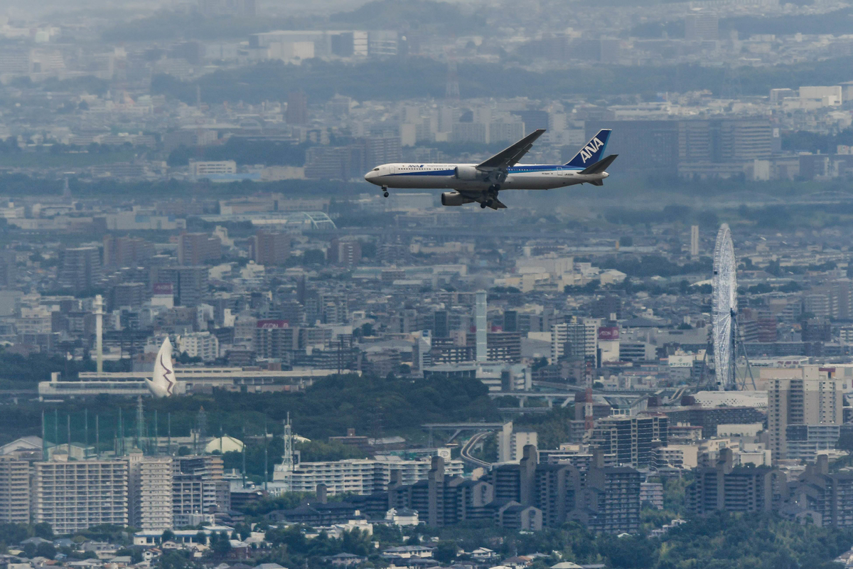 f:id:yamasemi5150:20200908221655j:plain