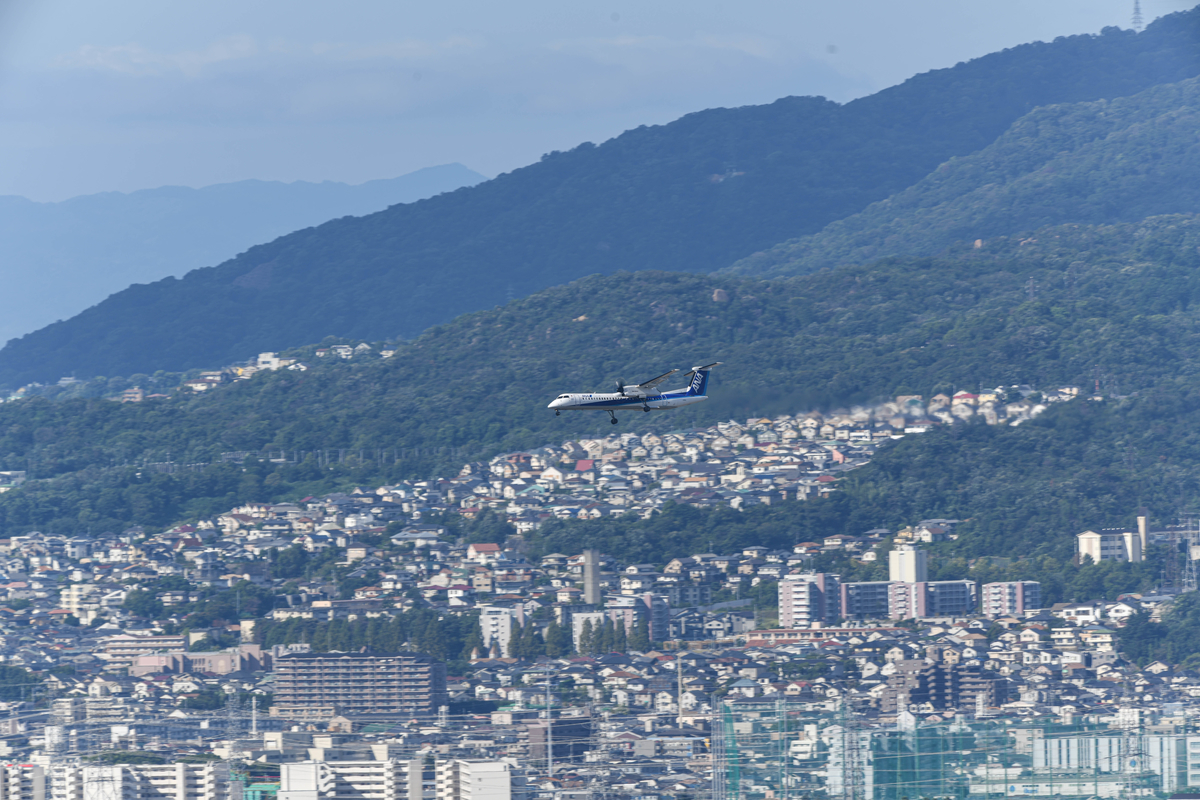 f:id:yamasemi5150:20200908221755j:plain