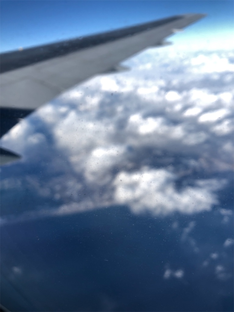 f:id:yamashina_4810:20210115075503j:image f:id:yamashina_4810:20210115075503j:image