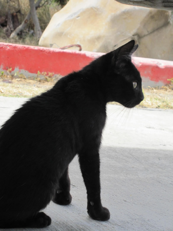 f:id:yamashiro109:20100616232910j:image