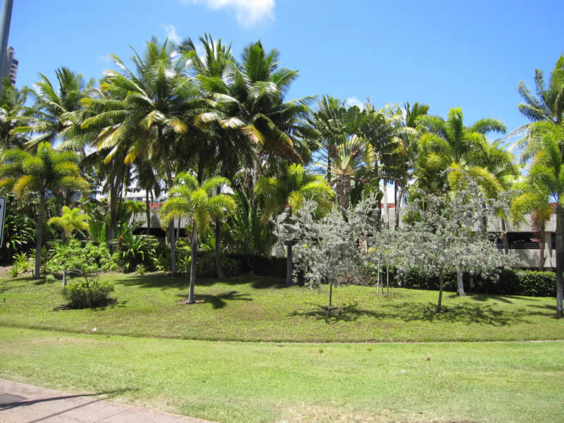 f:id:yamashiro109:20100628222641j:image