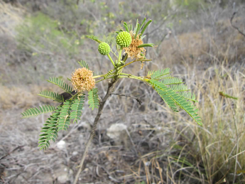 f:id:yamashiro109:20100628224036j:image