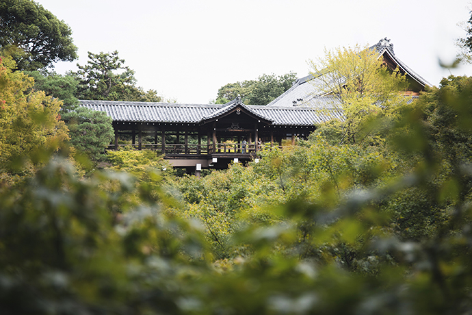 f:id:yamashita_m:20201201175029j:plain