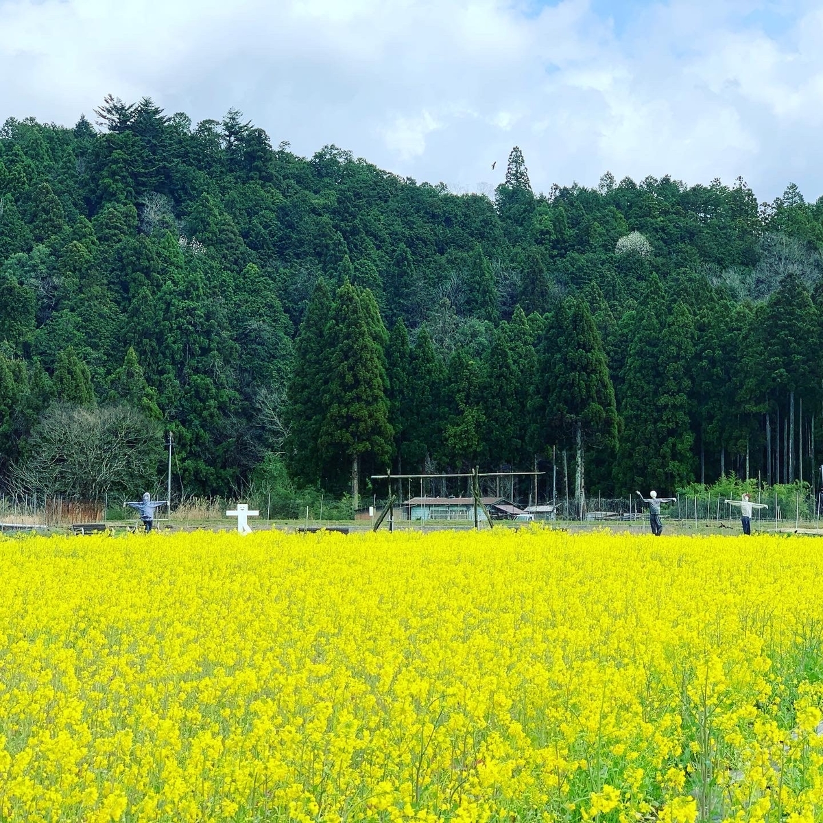 f:id:yamashita_m:20210329165331j:plain