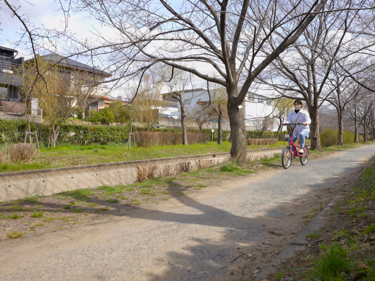 f:id:yamashita_m:20210330103740j:plain