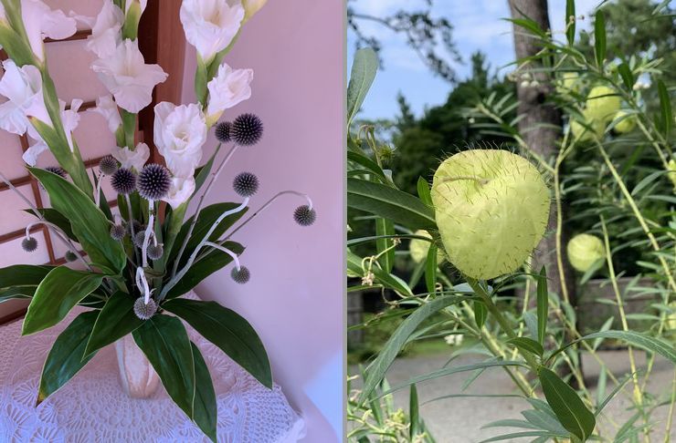 f:id:yamasif:20190812182136j:plain f:id:yamasif:20190812182136j:plain