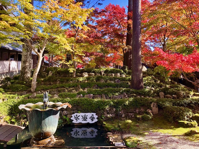 永源寺の池