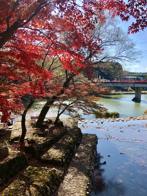 愛知川からの景色