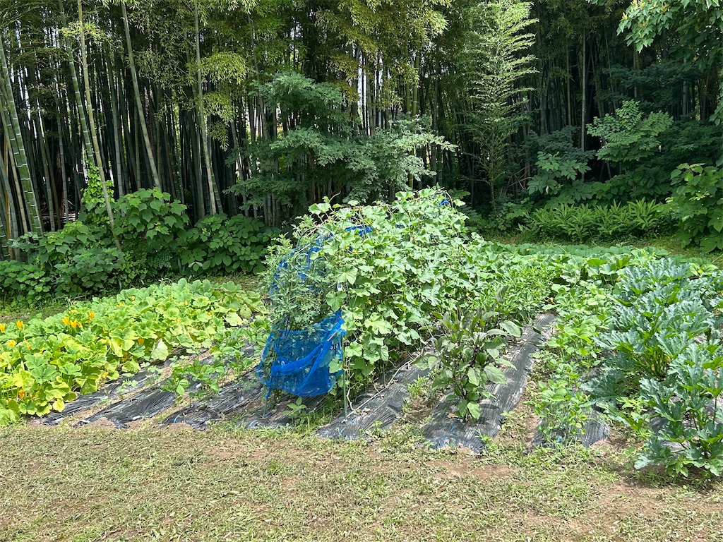 f:id:yamatake1958:20260701102108j:image f:id:yamatake1958:20260701102108j:image