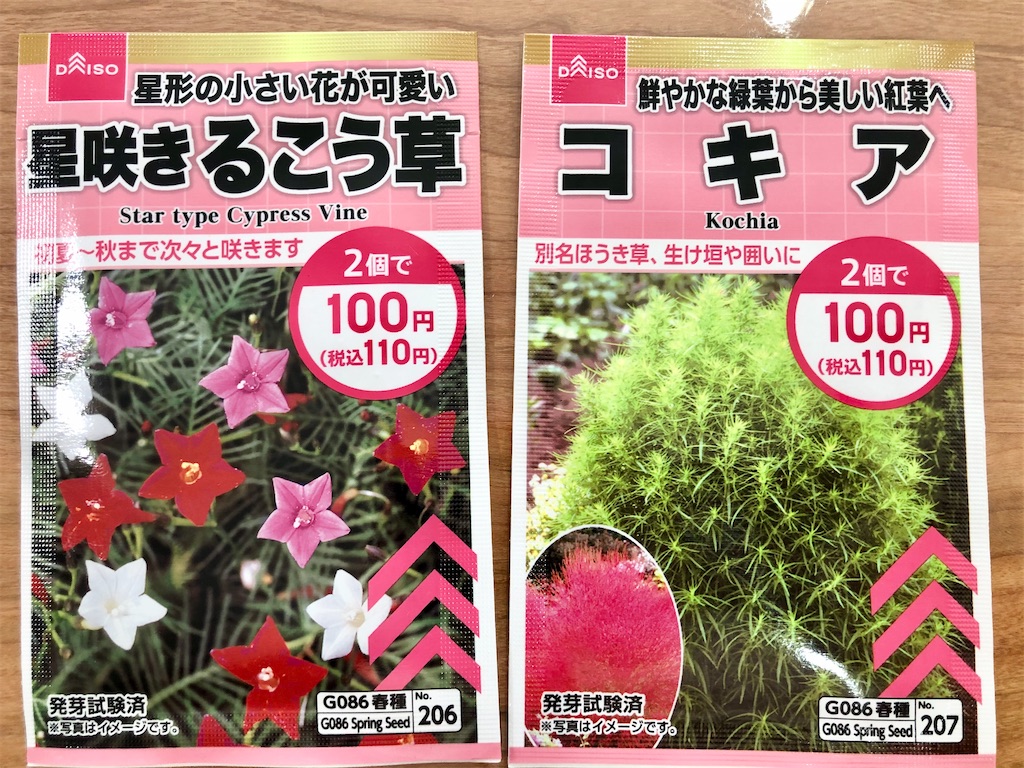 ダイソーの苗 種 ヤツデ コキア ルコウソウ バタフライガーデンに憧れる者の庭づくり日記 ダイソーの苗 種 ヤツデ コキア ルコウソウ バタフライガーデンに憧れる者の庭づくり日記