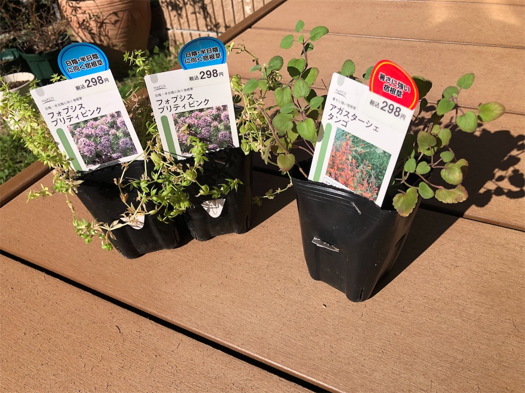 f:id:yamataro_sgr:20221025213530j:image