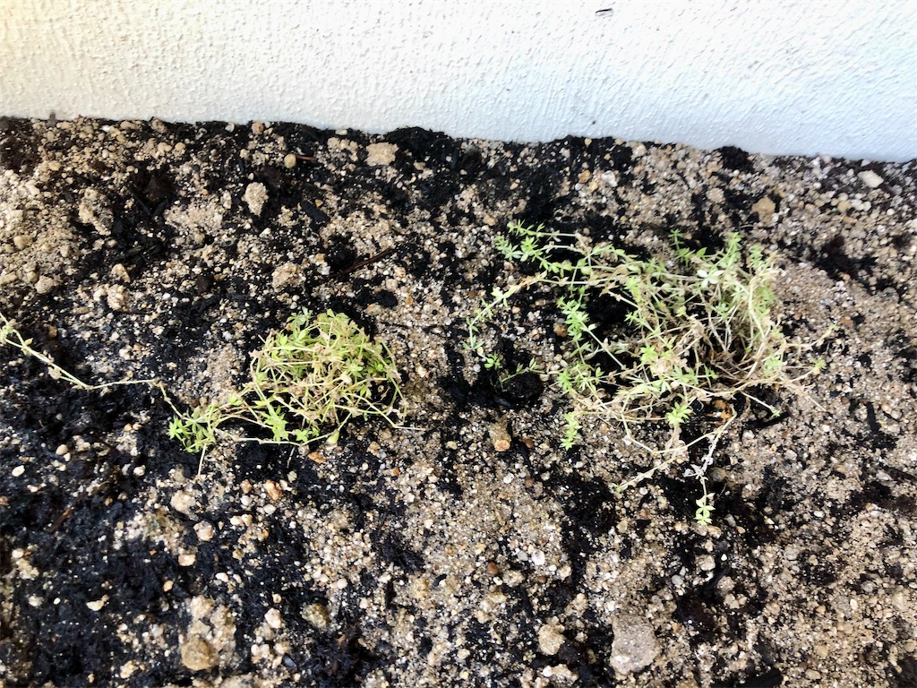 f:id:yamataro_sgr:20221026224846j:image