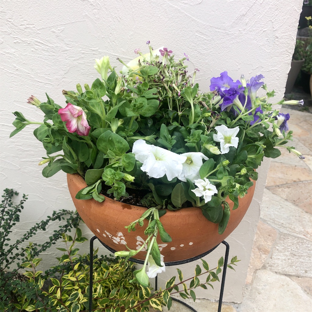 f:id:yamataro_sgr:20230424171710j:image