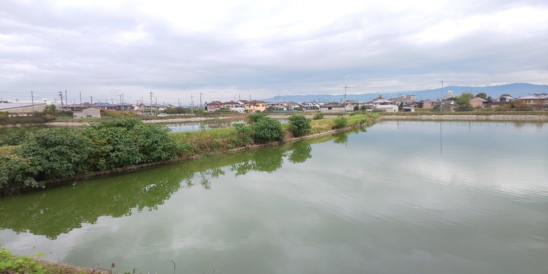 f:id:yamatkohriyaman:20191110223711j:plain