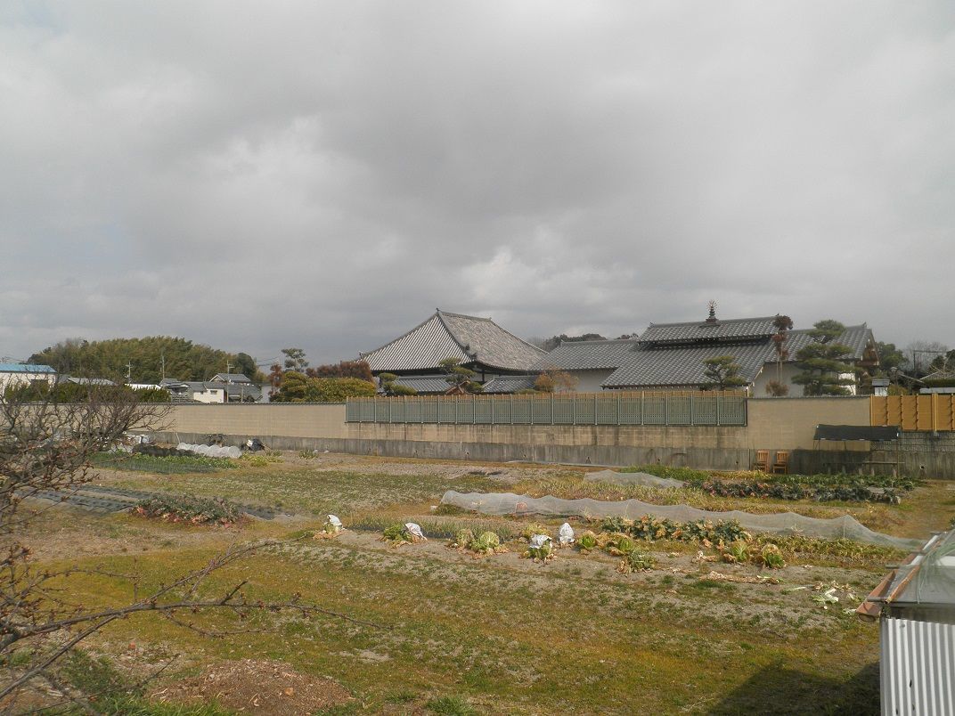 f:id:yamatkohriyaman:20220314232953j:plain