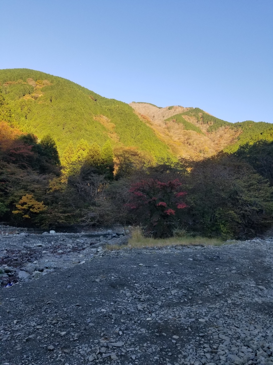 f:id:yamatku77:20201110175642j:plain