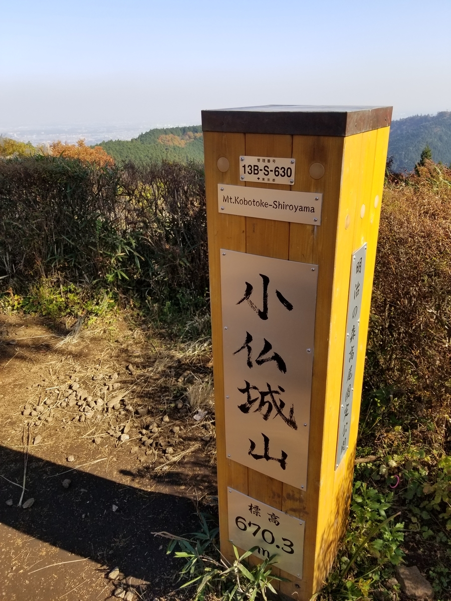 f:id:yamatku77:20201117174904j:plain