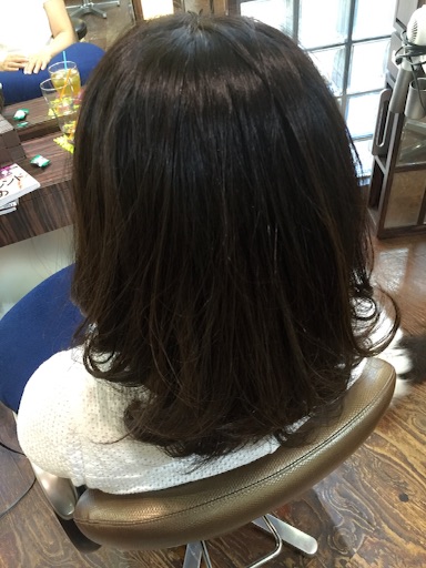 f:id:yamato-hasegawa:20160806182833j:image f:id:yamato-hasegawa:20160806182833j:image
