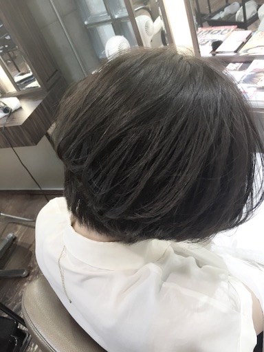 f:id:yamato-hasegawa:20160818202823j:image f:id:yamato-hasegawa:20160818202823j:image