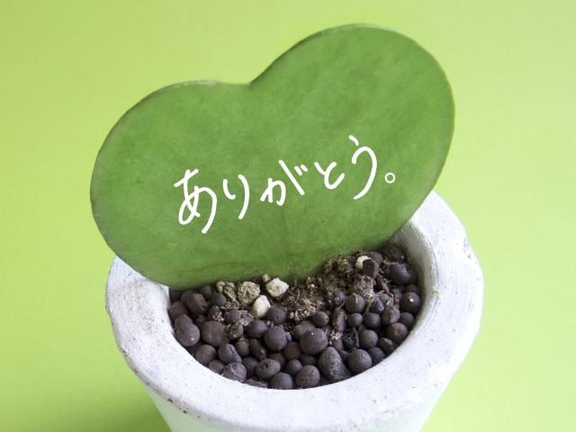 f:id:yamato0907:20180310201629j:plain
