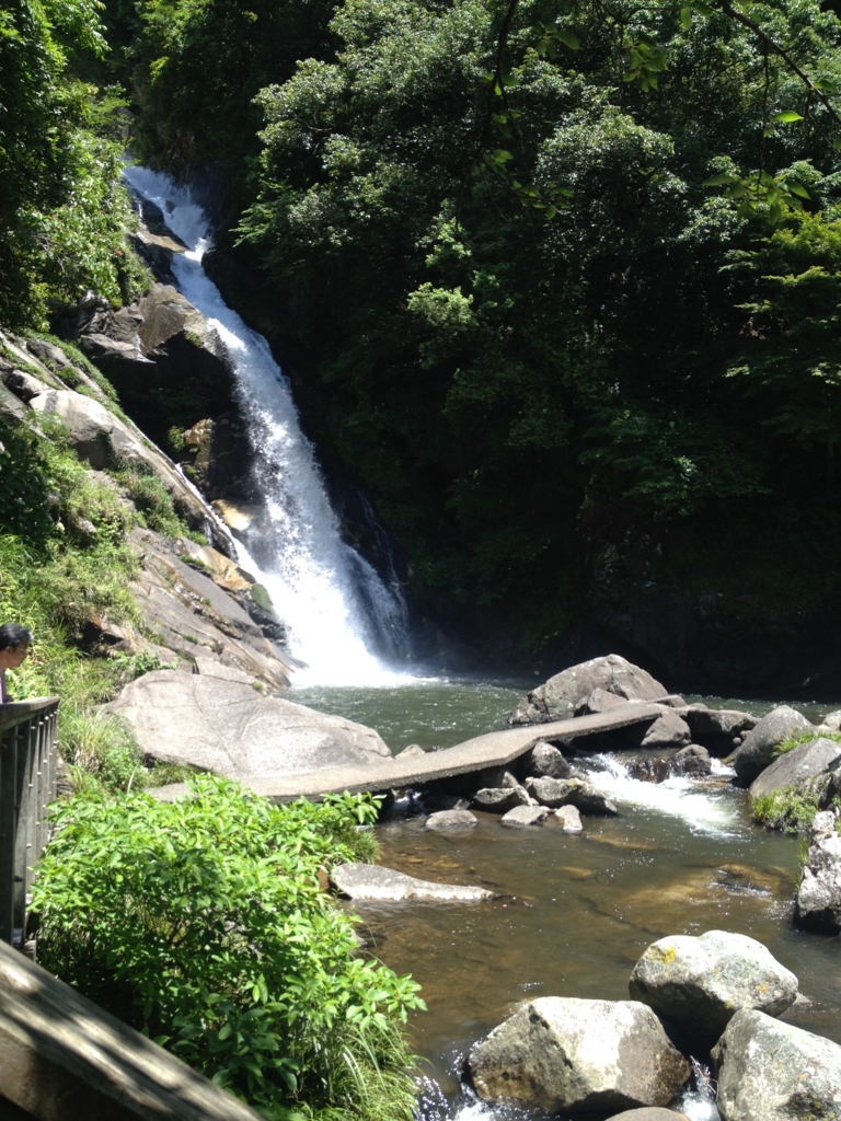 f:id:yamato1111:20160602171703j:plain f:id:yamato1111:20160602171703j:plain