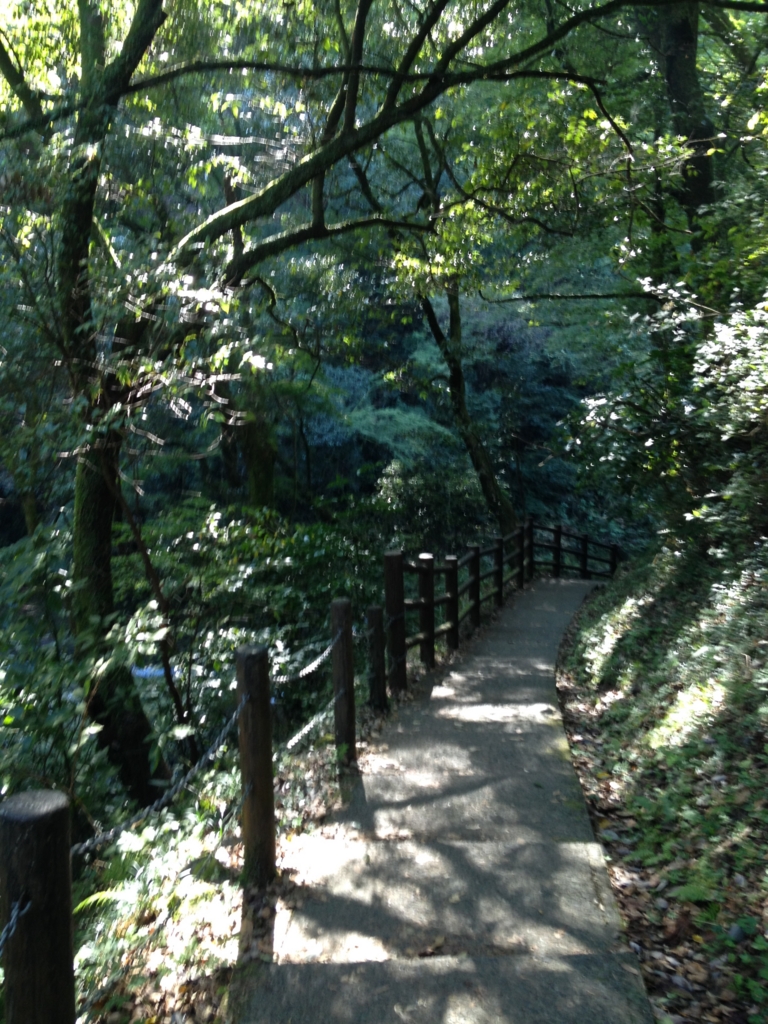 f:id:yamato1111:20161016060712j:plain