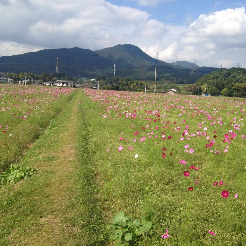f:id:yamato1111:20161018160403j:plain