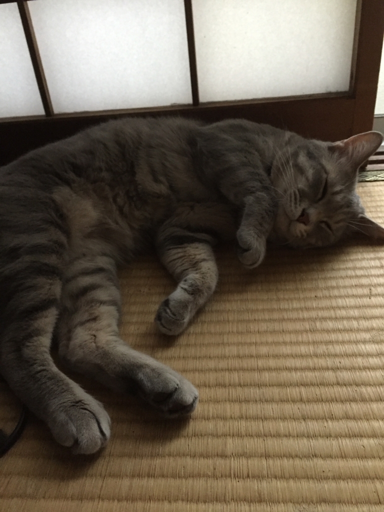 f:id:yamato1111:20170709101658j:plain f:id:yamato1111:20170709101658j:plain