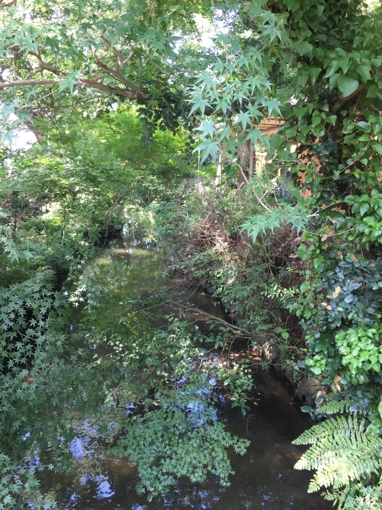 f:id:yamato1111:20170713150429j:plain f:id:yamato1111:20170713150429j:plain