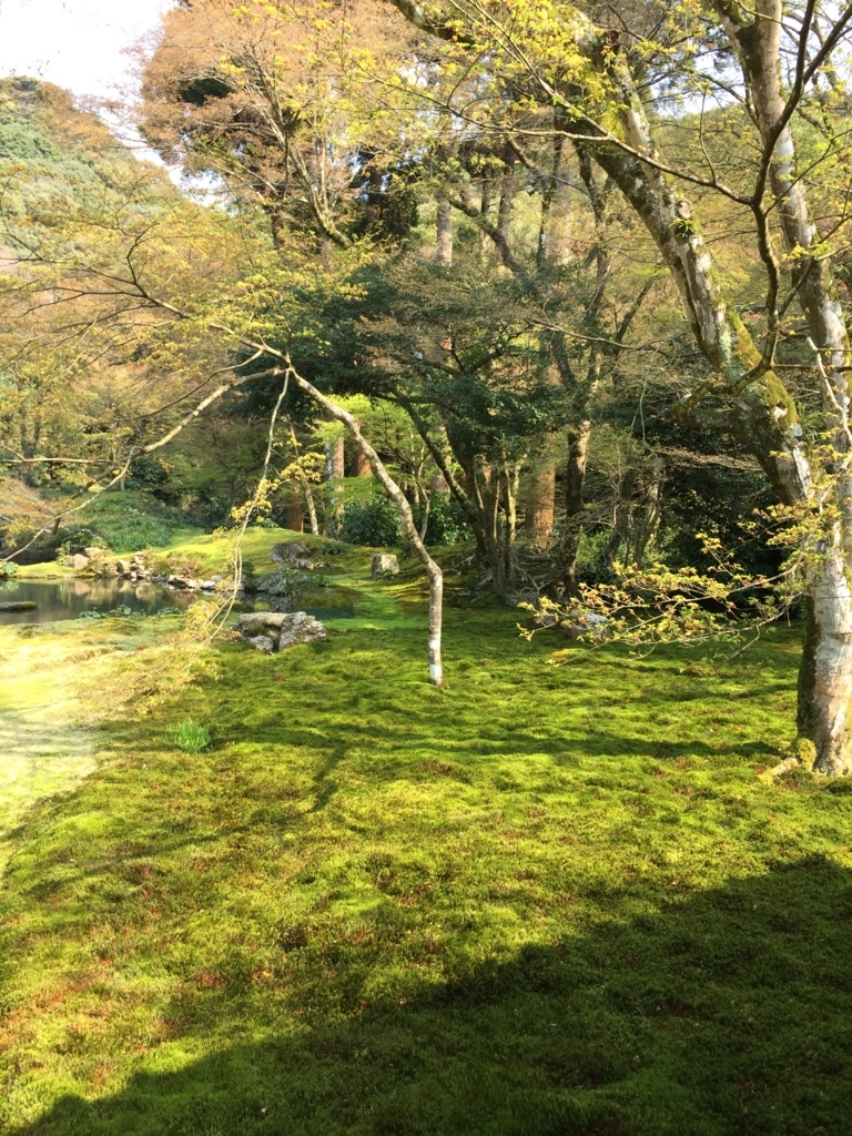 f:id:yamato1111:20180324155405j:plain f:id:yamato1111:20180324155405j:plain