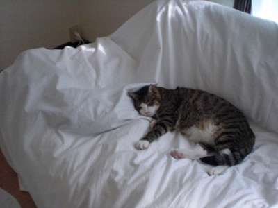 f:id:yamato1227:20120910140330j:image