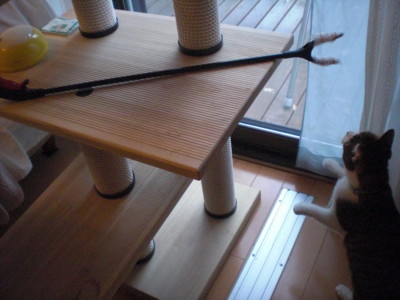 f:id:yamato1227:20120922112329j:image