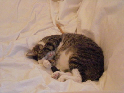 f:id:yamato1227:20120922112411j:image