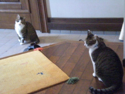 f:id:yamato1227:20120922115933j:image