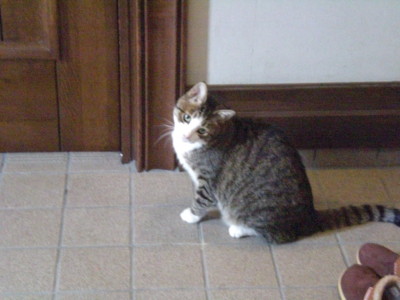 f:id:yamato1227:20120922120417j:image