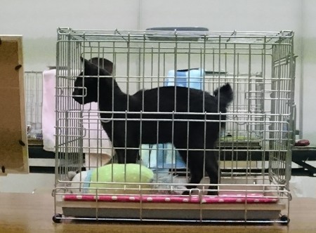 f:id:yamato1227:20180723160709j:image