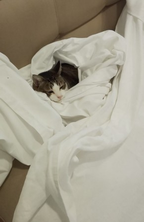 f:id:yamato1227:20180922180204j:image