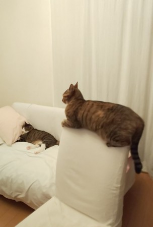 f:id:yamato1227:20180922180941j:image