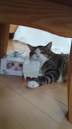 f:id:yamato1227:20180922180946j:image f:id:yamato1227:20180922180946j:image