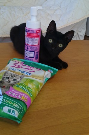 f:id:yamato1227:20180922181933j:image