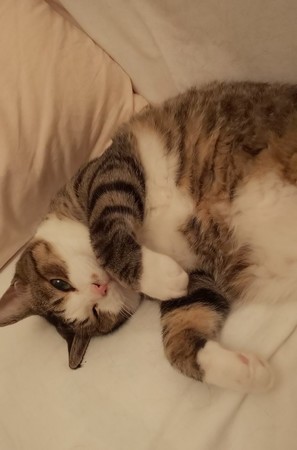 f:id:yamato1227:20180930150204j:image f:id:yamato1227:20180930150204j:image