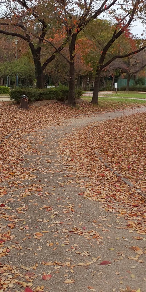 f:id:yamato1227:20181125142552j:plain