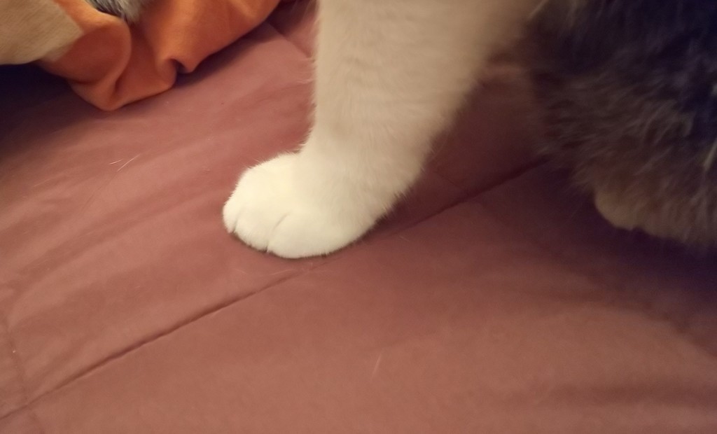 f:id:yamato1227:20181224190818j:plain